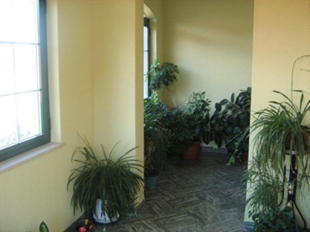 Krka Ivan Lozovac Exterior foto